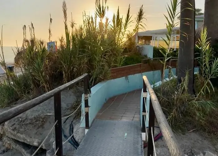 Alicate Playa Amazing Marbella